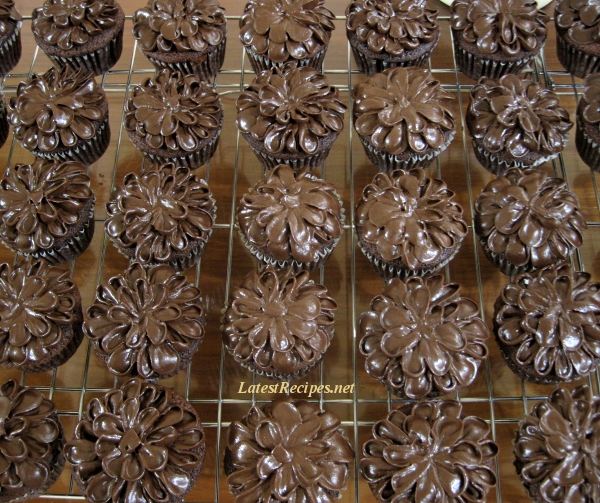 chocolate_cupcakes