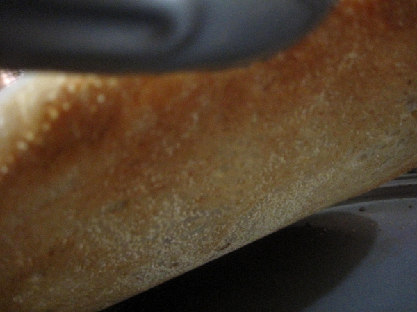 pizza_crust_bottom pizza_crust_bottom