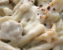 Casserecce with Silken Tofu Alfredo Sauce