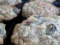 Raisin Pecan Oatmeal Cookies