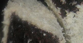 Lamingtons