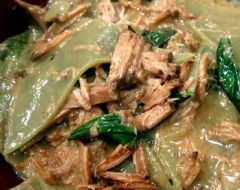 Pasta with Pulled Pork