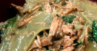 Pasta with Pulled Pork