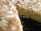 Swedish Visiting Cake
