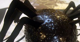 Spider Cake
