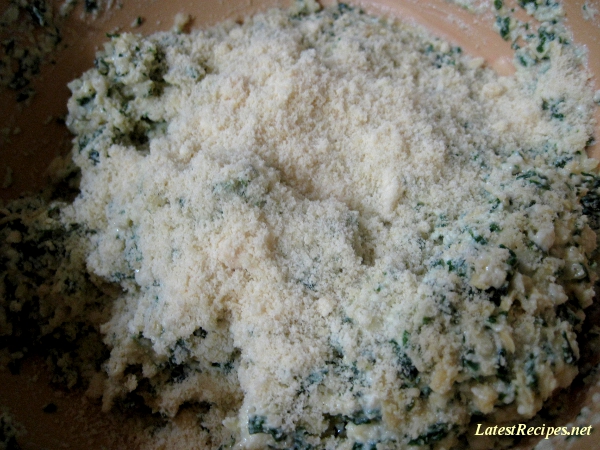 ravioli_filling_spinach_silken_tofu_cheese_1