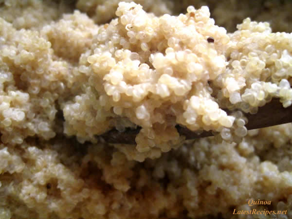 cooked_quinoa