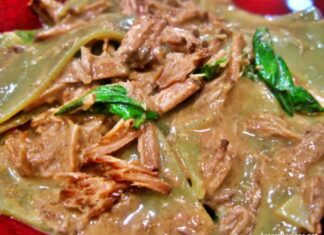 Pasta With Pulled Pork