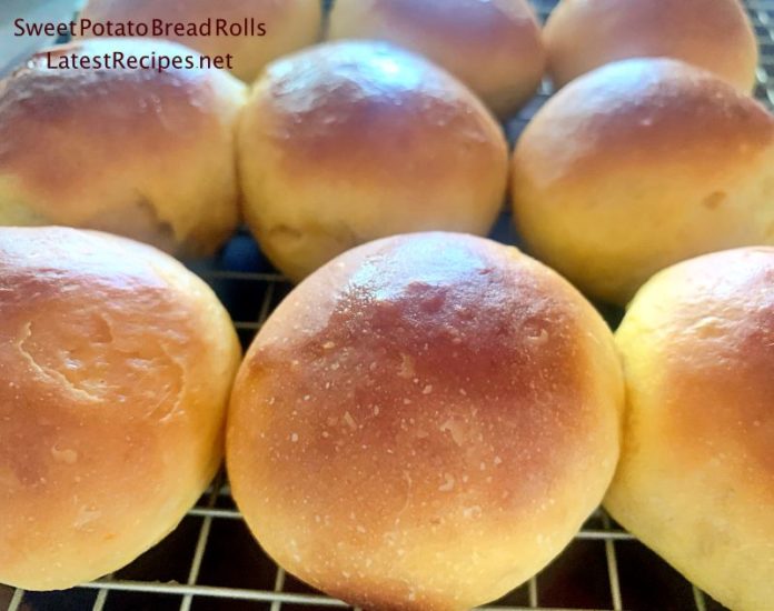 Sweet Potato Bread Rolls Latest Recipes
